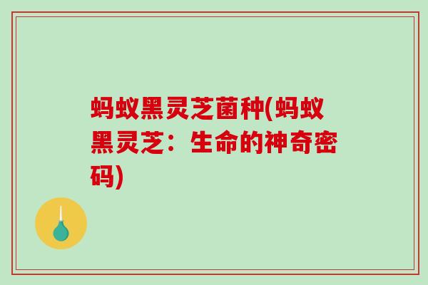 蚂蚁黑灵芝菌种(蚂蚁黑灵芝:生命的神奇密码)-第1张图片-破壁灵芝孢子粉研究指南 蚂蚁黑灵芝菌种(蚂蚁黑灵芝:生命的神奇密码)-第1张图片-破壁灵芝孢子粉研究指南