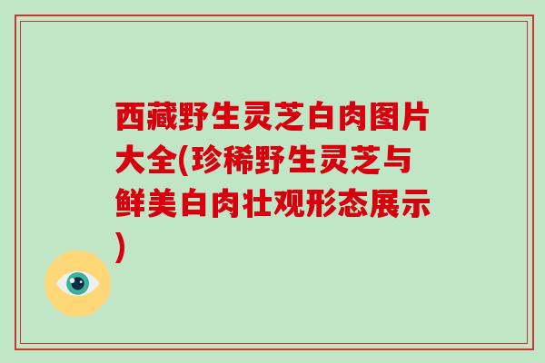 西藏野生灵芝白肉图片大全(珍稀野生灵芝与鲜美白肉壮观形态展示)-第1张图片-破壁灵芝孢子粉研究指南 西藏野生灵芝白肉图片大全(珍稀野生灵芝与鲜美白肉壮观形态展示)-第1张图片-破壁灵芝孢子粉研究指南