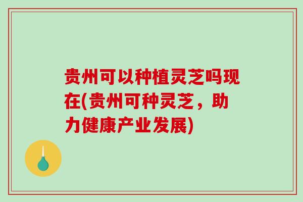 贵州可以种植灵芝吗现在(贵州可种灵芝,助力健康产业发展)-第1张图片-破壁灵芝孢子粉研究指南 贵州可以种植灵芝吗现在(贵州可种灵芝,助力健康产业发展)-第1张图片-破壁灵芝孢子粉研究指南