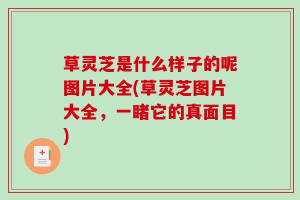 草灵芝是什么样子的呢图片大全(草灵芝图片大全,一睹它的真面目)-第1张图片-破壁灵芝孢子粉研究指南 草灵芝是什么样子的呢图片大全(草灵芝图片大全,一睹它的真面目)-第1张图片-破壁灵芝孢子粉研究指南
