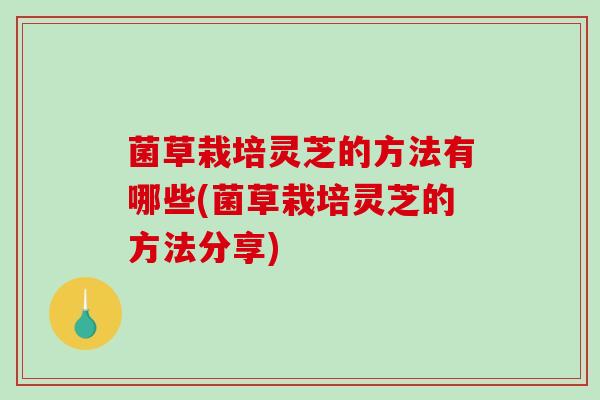菌草栽培灵芝的方法有哪些(菌草栽培灵芝的方法分享)-第1张图片-破壁灵芝孢子粉研究指南 菌草栽培灵芝的方法有哪些(菌草栽培灵芝的方法分享)-第1张图片-破壁灵芝孢子粉研究指南