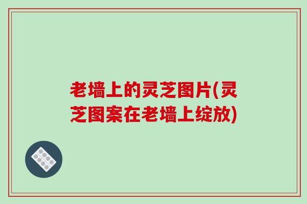 老墙上的灵芝图片(灵芝图案在老墙上绽放)-第1张图片-破壁灵芝孢子粉研究指南 老墙上的灵芝图片(灵芝图案在老墙上绽放)-第1张图片-破壁灵芝孢子粉研究指南