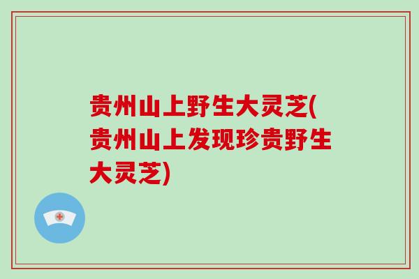 贵州山上野生大灵芝(贵州山上发现珍贵野生大灵芝)-第1张图片-破壁灵芝孢子粉研究指南 贵州山上野生大灵芝(贵州山上发现珍贵野生大灵芝)-第1张图片-破壁灵芝孢子粉研究指南