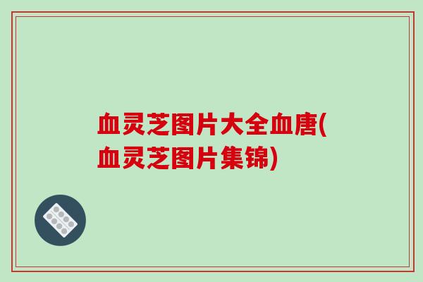 血灵芝图片大全血唐(血灵芝图片集锦)-第1张图片-破壁灵芝孢子粉研究指南 血灵芝图片大全血唐(血灵芝图片集锦)-第1张图片-破壁灵芝孢子粉研究指南