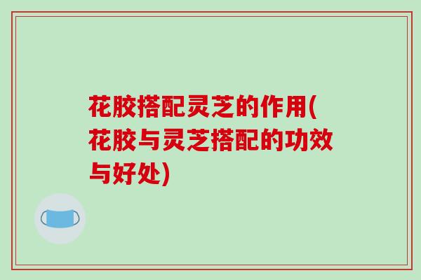 花胶搭配灵芝的作用(花胶与灵芝搭配的功效与好处)-第1张图片-破壁灵芝孢子粉研究指南