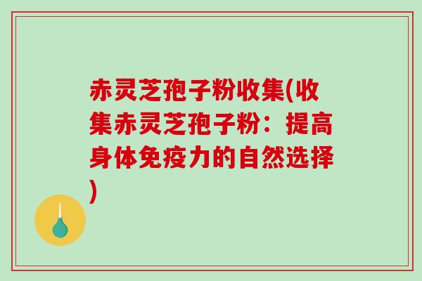 赤灵芝孢子粉收集(收集赤灵芝孢子粉:提高身体免疫力的自然选择)-第1张图片-破壁灵芝孢子粉研究指南 赤灵芝孢子粉收集(收集赤灵芝孢子粉:提高身体免疫力的自然选择)-第1张图片-破壁灵芝孢子粉研究指南