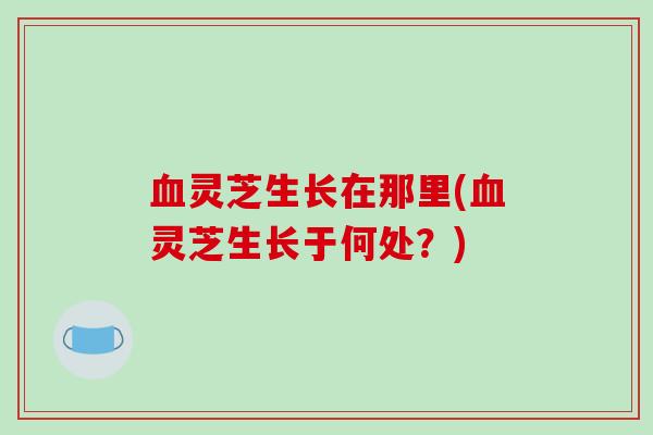 血灵芝生长在那里(血灵芝生长于何处?)-第1张图片-破壁灵芝孢子粉研究指南 血灵芝生长在那里(血灵芝生长于何处?)-第1张图片-破壁灵芝孢子粉研究指南