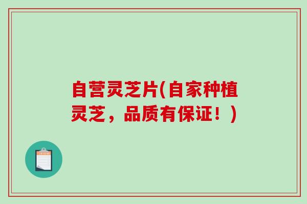 自营灵芝片(自家种植灵芝,品质有保证!)-第1张图片-破壁灵芝孢子粉研究指南 自营灵芝片(自家种植灵芝,品质有保证!)-第1张图片-破壁灵芝孢子粉研究指南