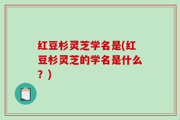 红豆杉灵芝学名是(红豆杉灵芝的学名是什么?)-第1张图片-破壁灵芝孢子粉研究指南 红豆杉灵芝学名是(红豆杉灵芝的学名是什么?)-第1张图片-破壁灵芝孢子粉研究指南