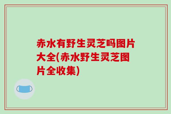 赤水有野生灵芝吗图片大全(赤水野生灵芝图片全收集)-第1张图片-破壁灵芝孢子粉研究指南 赤水有野生灵芝吗图片大全(赤水野生灵芝图片全收集)-第1张图片-破壁灵芝孢子粉研究指南