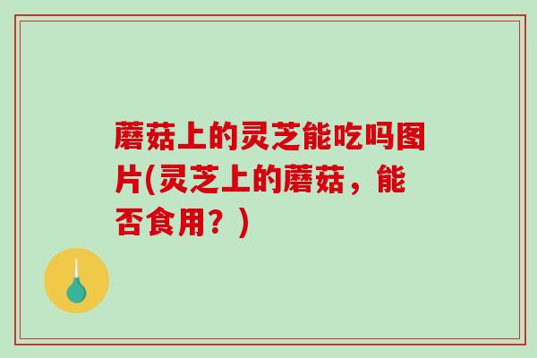 蘑菇上的灵芝能吃吗图片(灵芝上的蘑菇，能否食用？)-第1张图片-破壁灵芝孢子粉研究指南