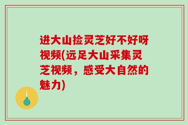 进大山捡灵芝好不好呀视频(远足大山采集灵芝视频，感受大自然的魅力)-第1张图片-破壁灵芝孢子粉研究指南