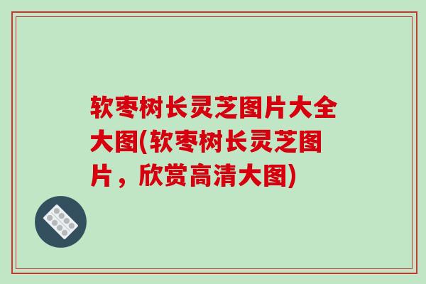 软枣树长灵芝图片大全大图(软枣树长灵芝图片,欣赏高清大图)-第1张图片-破壁灵芝孢子粉研究指南 软枣树长灵芝图片大全大图(软枣树长灵芝图片,欣赏高清大图)-第1张图片-破壁灵芝孢子粉研究指南