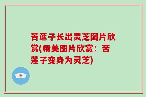 苦莲子长出灵芝图片欣赏(精美图片欣赏:苦莲子变身为灵芝)-第1张图片-破壁灵芝孢子粉研究指南 苦莲子长出灵芝图片欣赏(精美图片欣赏:苦莲子变身为灵芝)-第1张图片-破壁灵芝孢子粉研究指南