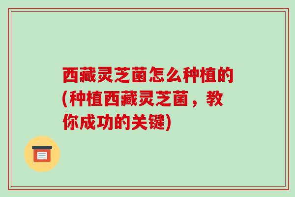 西藏灵芝菌怎么种植的(种植西藏灵芝菌,教你成功的关键)-第1张图片-破壁灵芝孢子粉研究指南 西藏灵芝菌怎么种植的(种植西藏灵芝菌,教你成功的关键)-第1张图片-破壁灵芝孢子粉研究指南