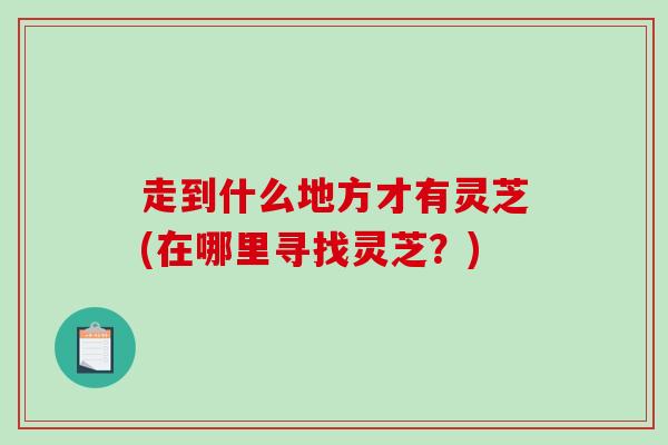 走到什么地方才有灵芝(在哪里寻找灵芝?)-第1张图片-破壁灵芝孢子粉研究指南 走到什么地方才有灵芝(在哪里寻找灵芝?)-第1张图片-破壁灵芝孢子粉研究指南