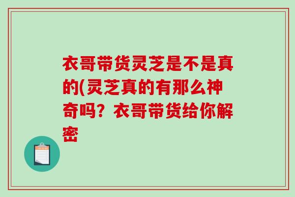 衣哥带货灵芝是不是真的(灵芝真的有那么神奇吗?衣哥带货给你解密-第1张图片-破壁灵芝孢子粉研究指南 衣哥带货灵芝是不是真的(灵芝真的有那么神奇吗?衣哥带货给你解密-第1张图片-破壁灵芝孢子粉研究指南