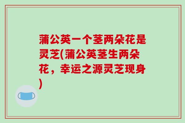 蒲公英一个茎两朵花是灵芝(蒲公英茎生两朵花,幸运之源灵芝现身)-第1张图片-破壁灵芝孢子粉研究指南 蒲公英一个茎两朵花是灵芝(蒲公英茎生两朵花,幸运之源灵芝现身)-第1张图片-破壁灵芝孢子粉研究指南