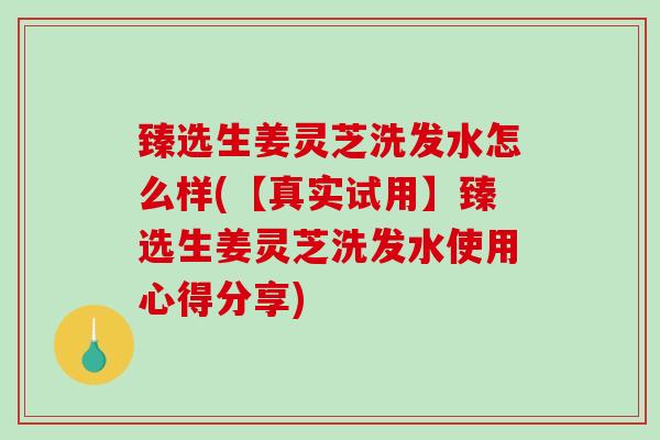臻选生姜灵芝洗发水怎么样(【真实试用】臻选生姜灵芝洗发水使用心得分享)-第1张图片-破壁灵芝孢子粉研究指南 臻选生姜灵芝洗发水怎么样(【真实试用】臻选生姜灵芝洗发水使用心得分享)-第1张图片-破壁灵芝孢子粉研究指南