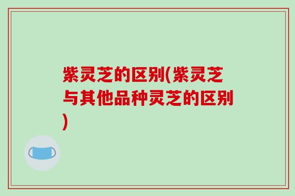 紫灵芝的区别(紫灵芝与其他品种灵芝的区别)-第1张图片-破壁灵芝孢子粉研究指南 紫灵芝的区别(紫灵芝与其他品种灵芝的区别)-第1张图片-破壁灵芝孢子粉研究指南