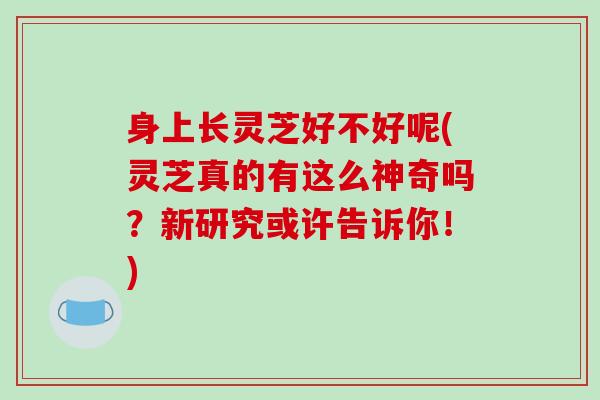 身上长灵芝好不好呢(灵芝真的有这么神奇吗?新研究或许告诉你!)-第1张图片-破壁灵芝孢子粉研究指南 身上长灵芝好不好呢(灵芝真的有这么神奇吗?新研究或许告诉你!)-第1张图片-破壁灵芝孢子粉研究指南