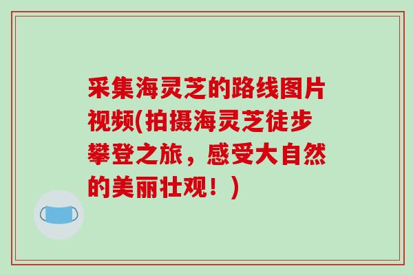 采集海灵芝的路线图片视频(拍摄海灵芝徒步攀登之旅,感受大自然的美丽壮观!)-第1张图片-破壁灵芝孢子粉研究指南 采集海灵芝的路线图片视频(拍摄海灵芝徒步攀登之旅,感受大自然的美丽壮观!)-第1张图片-破壁灵芝孢子粉研究指南
