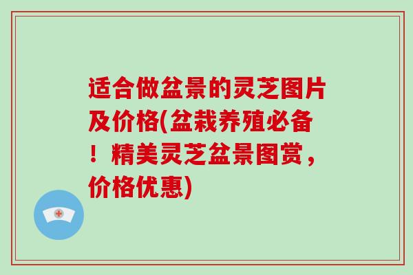 适合做盆景的灵芝图片及价格(盆栽养殖必备!精美灵芝盆景图赏,价格优惠)-第1张图片-破壁灵芝孢子粉研究指南 适合做盆景的灵芝图片及价格(盆栽养殖必备!精美灵芝盆景图赏,价格优惠)-第1张图片-破壁灵芝孢子粉研究指南