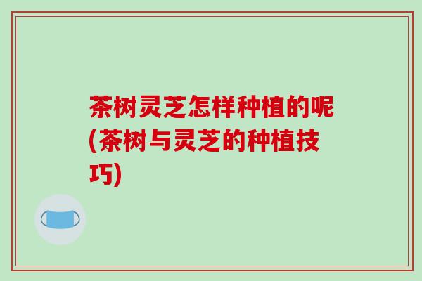 茶树灵芝怎样种植的呢(茶树与灵芝的种植技巧)-第1张图片-破壁灵芝孢子粉研究指南 茶树灵芝怎样种植的呢(茶树与灵芝的种植技巧)-第1张图片-破壁灵芝孢子粉研究指南