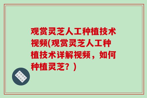 观赏灵芝人工种植技术视频(观赏灵芝人工种植技术详解视频,如何种植灵芝?)-第1张图片-破壁灵芝孢子粉研究指南 观赏灵芝人工种植技术视频(观赏灵芝人工种植技术详解视频,如何种植灵芝?)-第1张图片-破壁灵芝孢子粉研究指南
