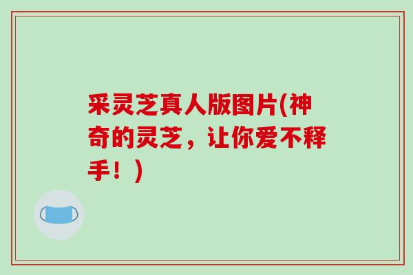 采灵芝真人版图片(神奇的灵芝,让你爱不释手!)-第1张图片-破壁灵芝孢子粉研究指南 采灵芝真人版图片(神奇的灵芝,让你爱不释手!)-第1张图片-破壁灵芝孢子粉研究指南