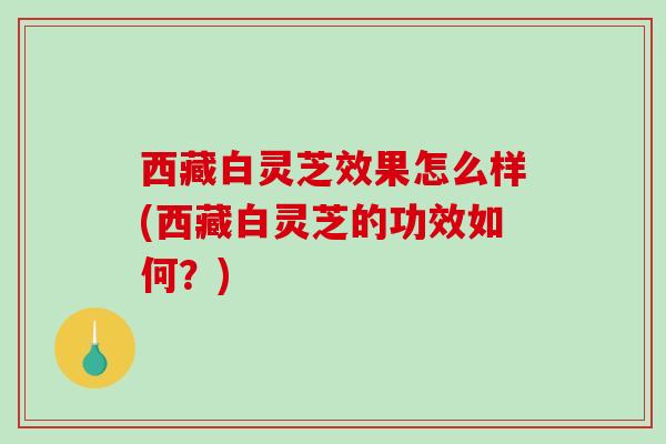 西藏白灵芝效果怎么样(西藏白灵芝的功效如何?)-第1张图片-破壁灵芝孢子粉研究指南 西藏白灵芝效果怎么样(西藏白灵芝的功效如何?)-第1张图片-破壁灵芝孢子粉研究指南