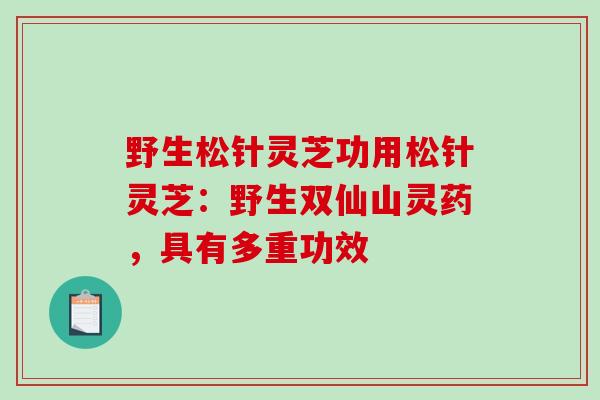 野生松针灵芝功用松针灵芝:野生双仙山灵药,具有多重功效-第1张图片-破壁灵芝孢子粉研究指南 野生松针灵芝功用松针灵芝:野生双仙山灵药,具有多重功效-第1张图片-破壁灵芝孢子粉研究指南