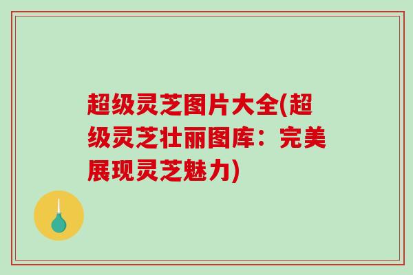 超级灵芝图片大全(超级灵芝壮丽图库：完美展现灵芝魅力)-第1张图片-破壁灵芝孢子粉研究指南