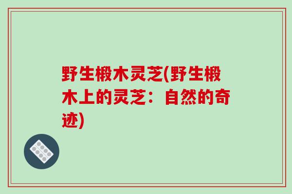 野生椴木灵芝(野生椴木上的灵芝：自然的奇迹)-第1张图片-破壁灵芝孢子粉研究指南
