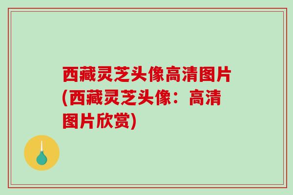 西藏灵芝头像高清图片(西藏灵芝头像：高清图片欣赏)-第1张图片-破壁灵芝孢子粉研究指南