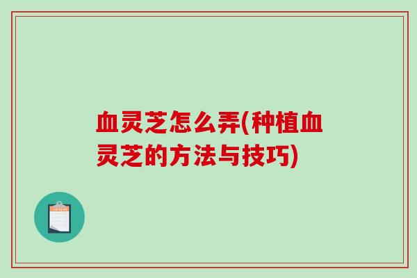 血灵芝怎么弄(种植血灵芝的方法与技巧)-第1张图片-破壁灵芝孢子粉研究指南 血灵芝怎么弄(种植血灵芝的方法与技巧)-第1张图片-破壁灵芝孢子粉研究指南