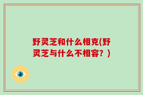 野灵芝和什么相克(野灵芝与什么不相容?)-第1张图片-破壁灵芝孢子粉研究指南 野灵芝和什么相克(野灵芝与什么不相容?)-第1张图片-破壁灵芝孢子粉研究指南