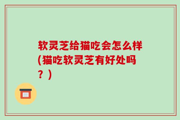 软灵芝给猫吃会怎么样(猫吃软灵芝有好处吗?)-第1张图片-破壁灵芝孢子粉研究指南 软灵芝给猫吃会怎么样(猫吃软灵芝有好处吗?)-第1张图片-破壁灵芝孢子粉研究指南