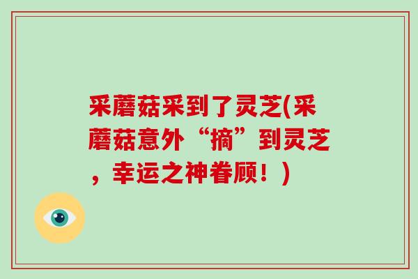 采蘑菇采到了灵芝(采蘑菇意外“摘”到灵芝,幸运之神眷顾!)-第1张图片-破壁灵芝孢子粉研究指南 采蘑菇采到了灵芝(采蘑菇意外“摘”到灵芝,幸运之神眷顾!)-第1张图片-破壁灵芝孢子粉研究指南