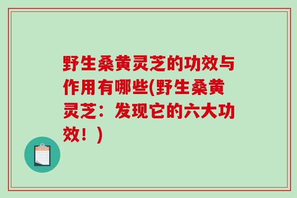 野生桑黄灵芝的功效与作用有哪些(野生桑黄灵芝:发现它的六大功效!)-第1张图片-破壁灵芝孢子粉研究指南 野生桑黄灵芝的功效与作用有哪些(野生桑黄灵芝:发现它的六大功效!)-第1张图片-破壁灵芝孢子粉研究指南