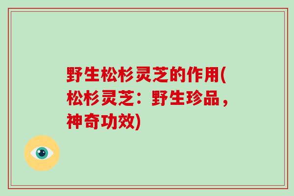 野生松杉灵芝的作用(松杉灵芝:野生珍品,神奇功效)-第1张图片-破壁灵芝孢子粉研究指南 野生松杉灵芝的作用(松杉灵芝:野生珍品,神奇功效)-第1张图片-破壁灵芝孢子粉研究指南
