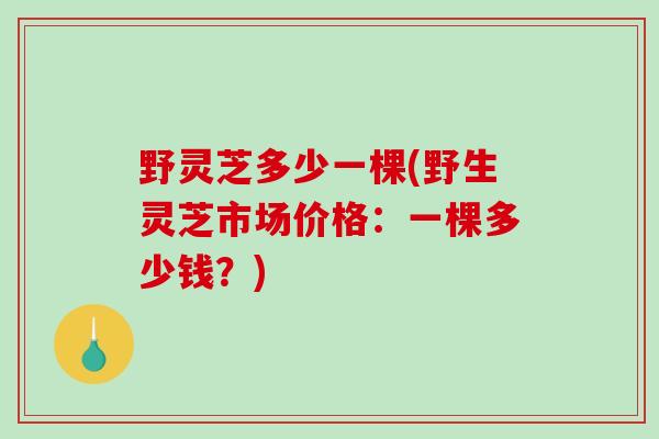 野灵芝多少一棵(野生灵芝市场价格：一棵多少钱？)-第1张图片-破壁灵芝孢子粉研究指南