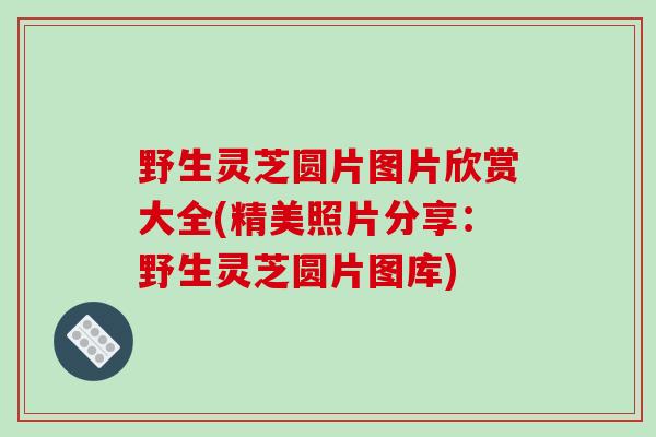 野生灵芝圆片图片欣赏大全(精美照片分享:野生灵芝圆片图库)-第1张图片-破壁灵芝孢子粉研究指南 野生灵芝圆片图片欣赏大全(精美照片分享:野生灵芝圆片图库)-第1张图片-破壁灵芝孢子粉研究指南