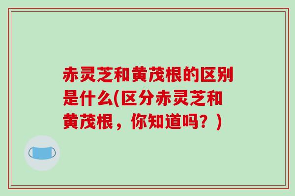 赤灵芝和黄茂根的区别是什么(区分赤灵芝和黄茂根，你知道吗？)-第1张图片-破壁灵芝孢子粉研究指南