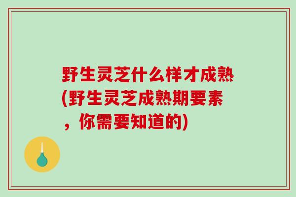野生灵芝什么样才成熟(野生灵芝成熟期要素,你需要知道的)-第1张图片-破壁灵芝孢子粉研究指南 野生灵芝什么样才成熟(野生灵芝成熟期要素,你需要知道的)-第1张图片-破壁灵芝孢子粉研究指南