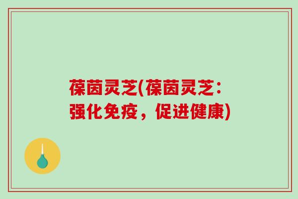 葆茵灵芝(葆茵灵芝:强化免疫,促进健康)-第1张图片-破壁灵芝孢子粉研究指南 葆茵灵芝(葆茵灵芝:强化免疫,促进健康)-第1张图片-破壁灵芝孢子粉研究指南