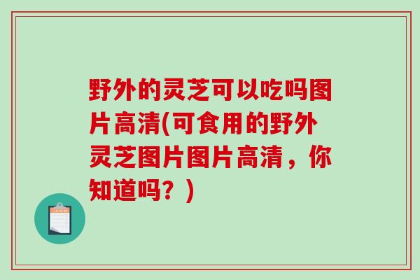 野外的灵芝可以吃吗图片高清(可食用的野外灵芝图片图片高清,你知道吗?)-第1张图片-破壁灵芝孢子粉研究指南 野外的灵芝可以吃吗图片高清(可食用的野外灵芝图片图片高清,你知道吗?)-第1张图片-破壁灵芝孢子粉研究指南