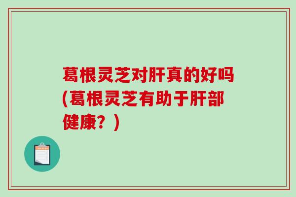 葛根灵芝对肝真的好吗(葛根灵芝有助于肝部健康?)-第1张图片-破壁灵芝孢子粉研究指南 葛根灵芝对肝真的好吗(葛根灵芝有助于肝部健康?)-第1张图片-破壁灵芝孢子粉研究指南