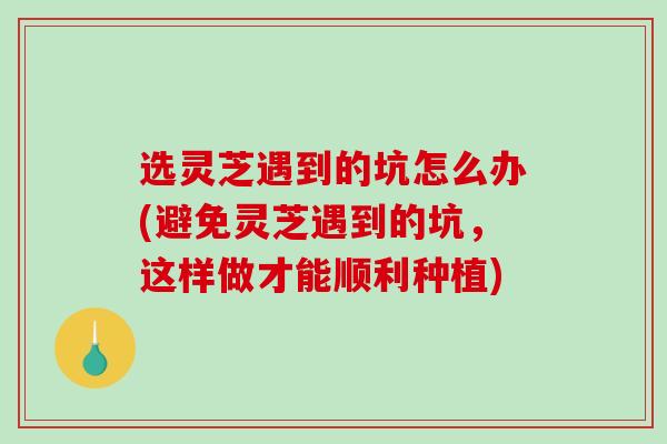 选灵芝遇到的坑怎么办(避免灵芝遇到的坑,这样做才能顺利种植)-第1张图片-破壁灵芝孢子粉研究指南 选灵芝遇到的坑怎么办(避免灵芝遇到的坑,这样做才能顺利种植)-第1张图片-破壁灵芝孢子粉研究指南