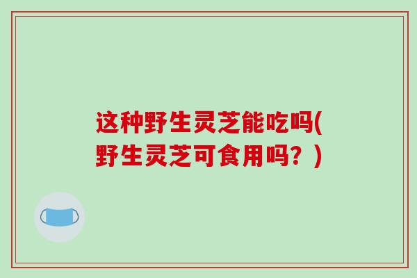 这种野生灵芝能吃吗(野生灵芝可食用吗?)-第1张图片-破壁灵芝孢子粉研究指南 这种野生灵芝能吃吗(野生灵芝可食用吗?)-第1张图片-破壁灵芝孢子粉研究指南
